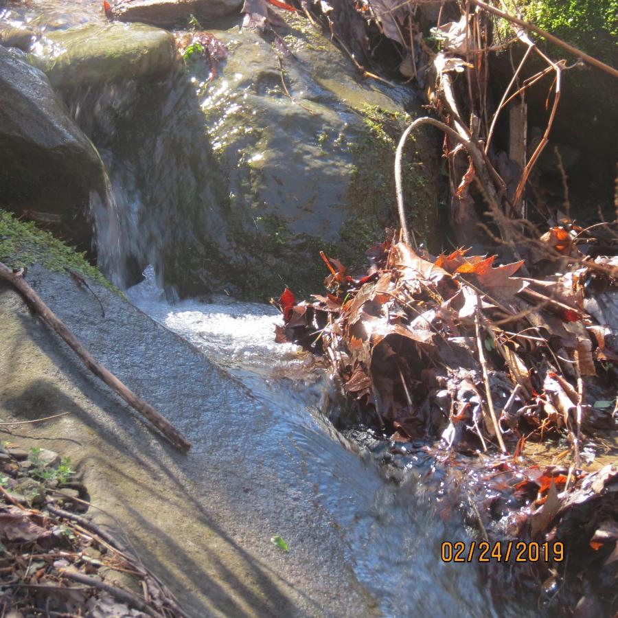 Mountain Springs Chalet Gatlinburg Zewnętrze zdjęcie