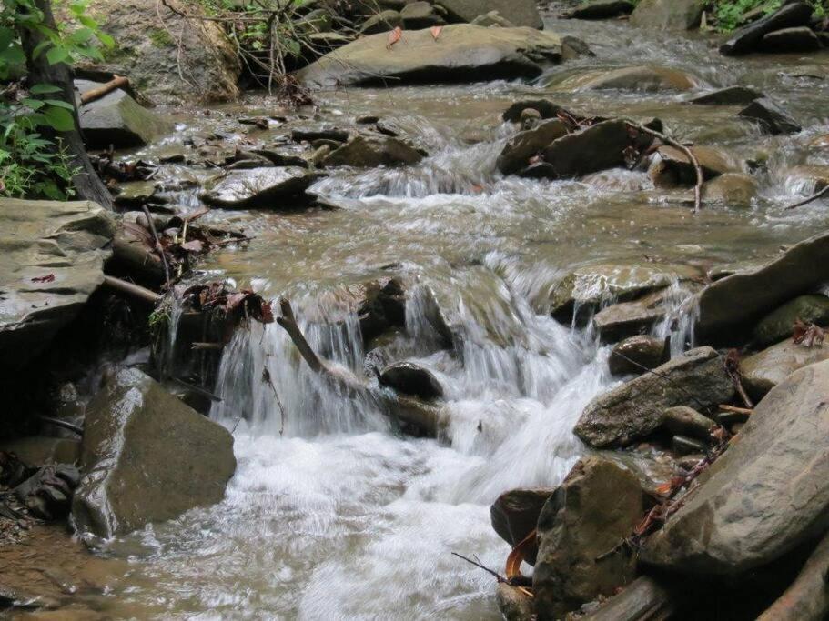 Mountain Springs Chalet Gatlinburg Zewnętrze zdjęcie